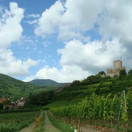 別荘 La Maison Bleue