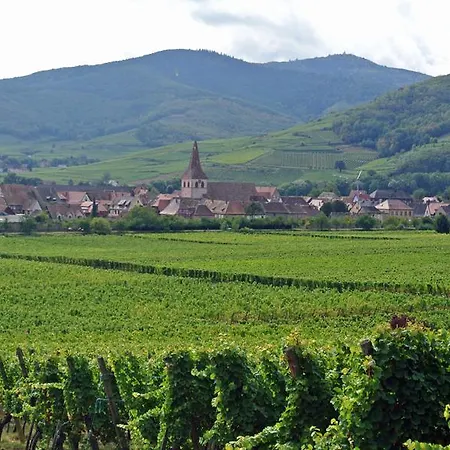 Pensjonat La Maison Bleue 3*