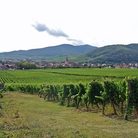 別荘 La Maison Bleue